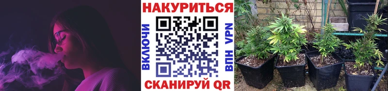 Где купить наркоту Калуга ГАШИШ  A-PVP  Меф мяу мяу  Галлюциногенные грибы  Cocaine  Кодеин  АМФ 