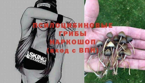 MDMA Козельск
