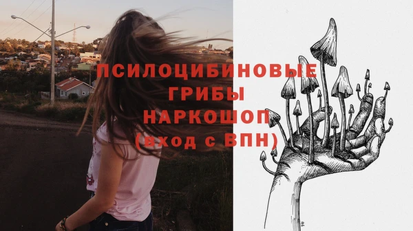 соль ск Балахна