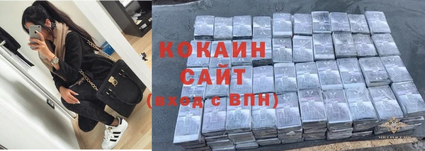 шишки Арсеньев