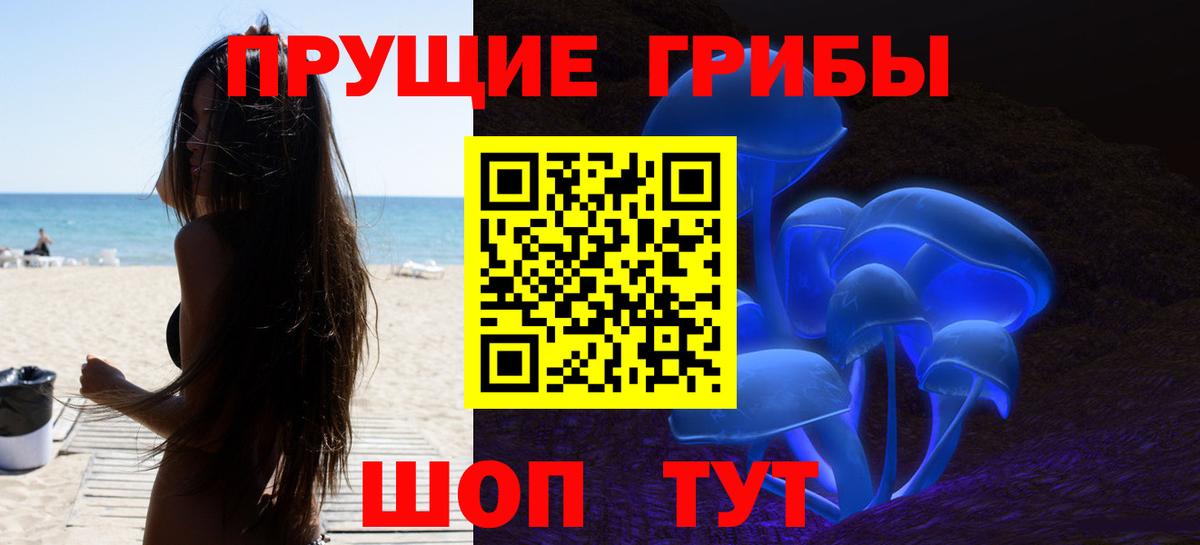 Псилоцибиновые грибы Cubensis Калуга