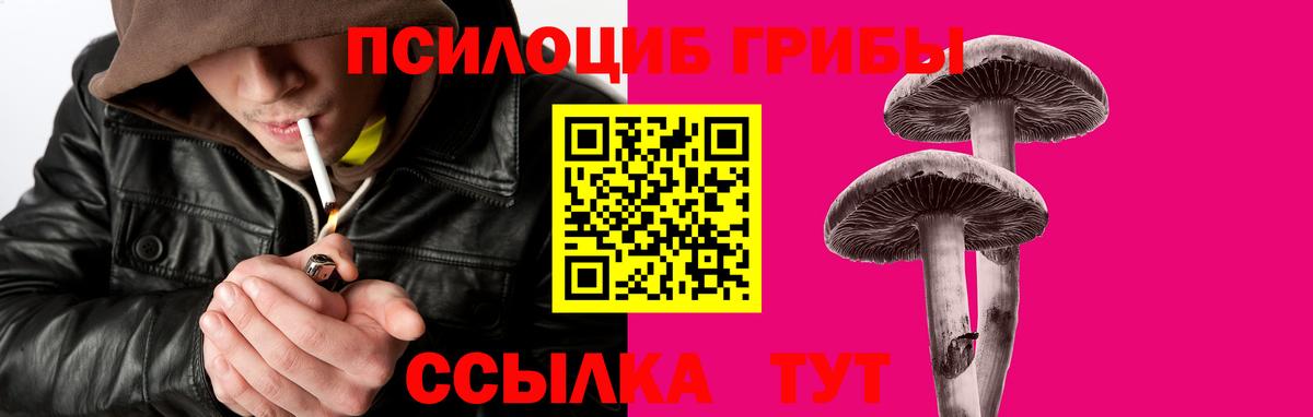 Калуга  Псилоцибиновые грибы мицелий  Вход с VPN 